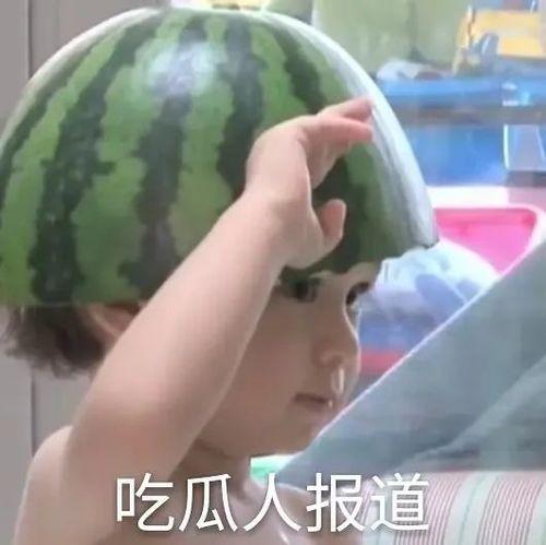 娱乐吃瓜文案搞笑表情包,带你领略搞笑瞬间